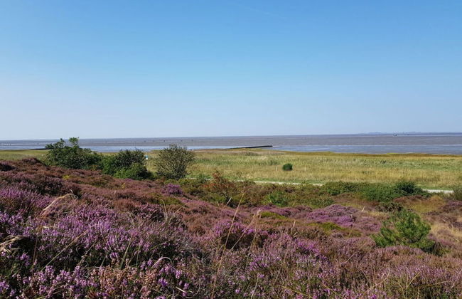 High Geest 4 - Including Many Extras - Foto 16