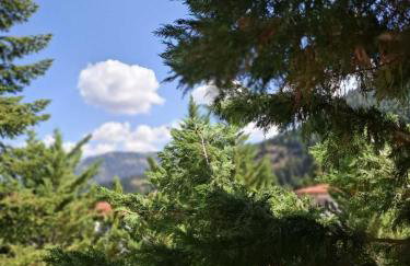 Horizon Nest Parnassos Villa Chalet! - Foto 47