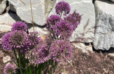 Ferienhaus Kleine Auszeit - Foto 43