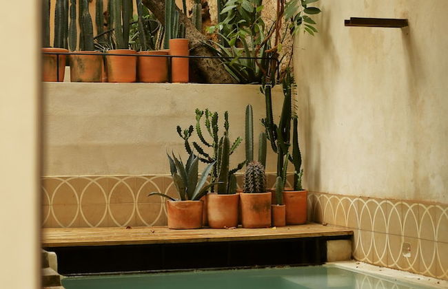 FIXIE LOFTS - Colonial Villa Suites with Pool - Foto 70