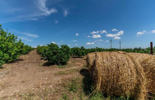 Angelo's Country House - Foto 34