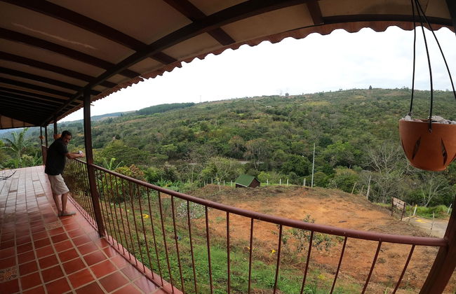 Villa Isabella Curiti - Photo 13