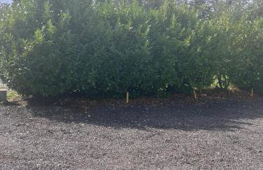 5 Bed Home near Anglesey Abbey - Foto 20