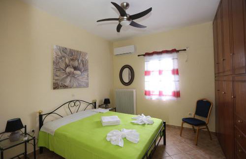 SummerAndros Skalario - Foto 52