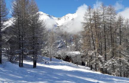 Chalet les arolles - Foto 42