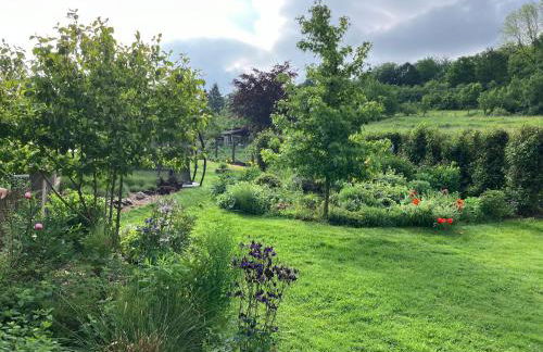 Iflands Hof - Foto 41