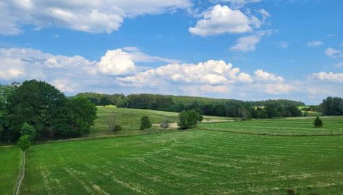 Ferienwohnung Strobl - Foto 2