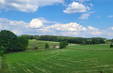 Ferienwohnung Strobl - Foto 2
