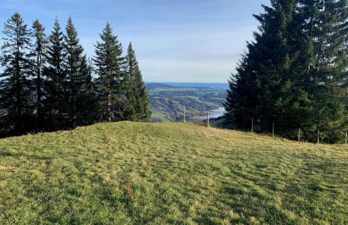 Ferienwohnung "Am Mittag" - Foto 8