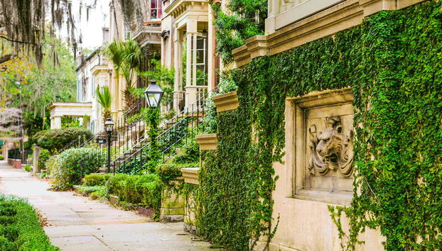 Pasaremos por los barrios más distinguidos de Savannah