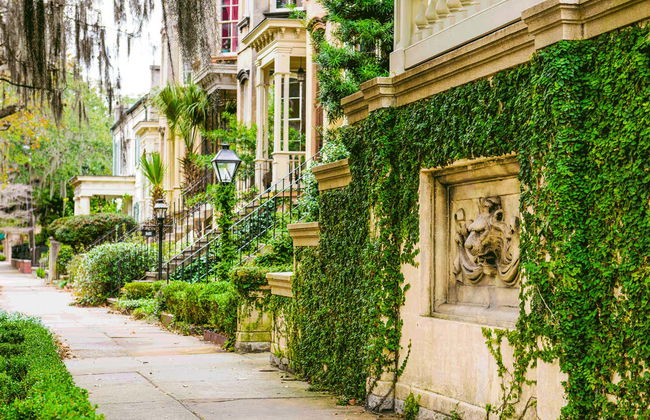 Tour por Savannah - Foto 4