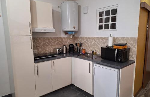 Bords de Loire hypercentre Orléans 2 personnes - Photo 14