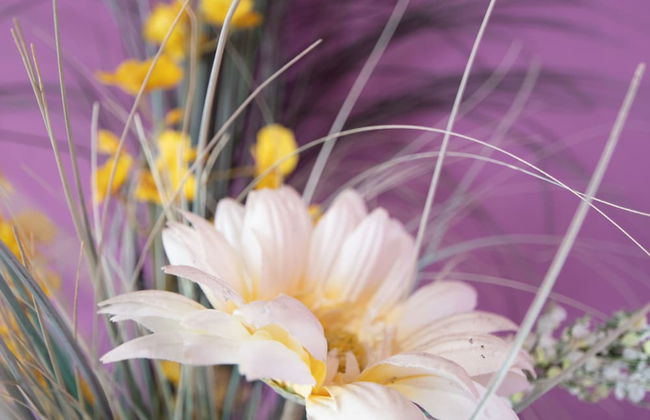 Apartamento del Arqueólogo de Cadiz - Foto 27