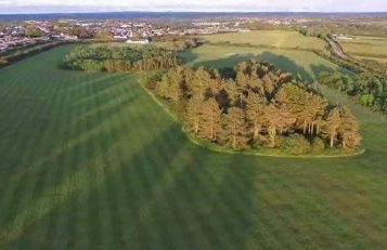 Furzy House - Foto 14