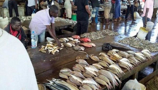 Dar Es Salaam City - Recorrido de día completo - Foto 4