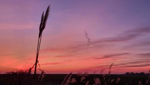 Deichblick Nordseeküste Bremerhaven - Foto 4