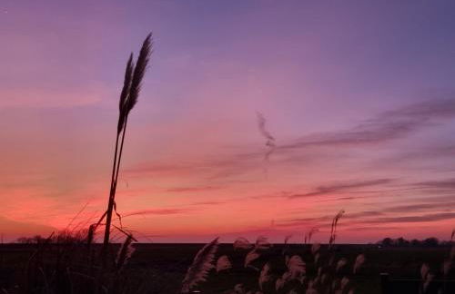 Deichblick Nordseeküste Bremerhaven - Foto 4