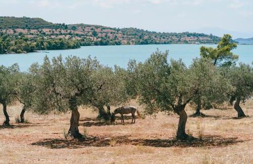 Elyria Apartment Porto Heli - Foto 24