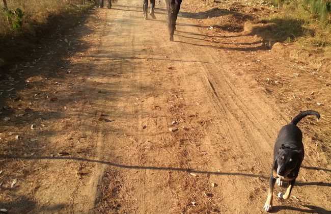 Millgate Cottage - Foto 53