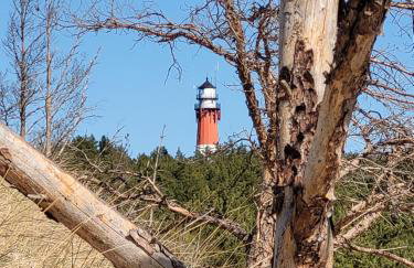 Apartamenty Morska 92 - Foto 57