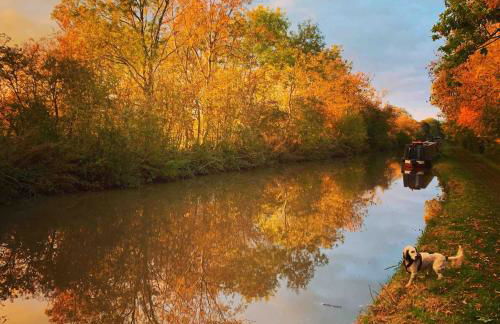 Annexe at The Chalet - A one bedroom annexe with gorgeous countryside views - Foto 24