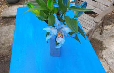 Traditional coach house in rural private estate. - Foto 17