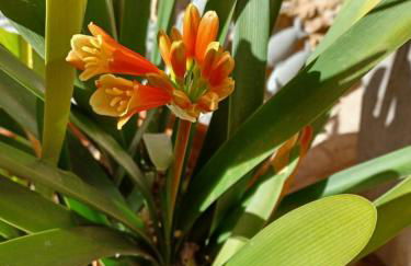 Casa del Riu - Foto 41