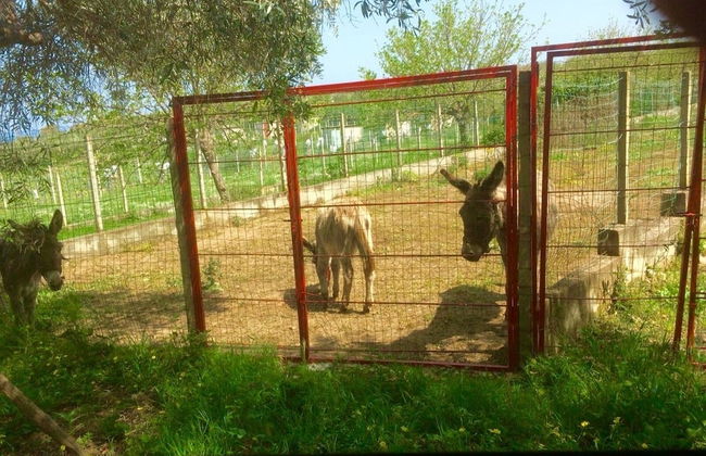 Agriturismo Fontanelle - Foto 61