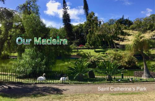 OurMadeira - BelleVeva - Foto 26