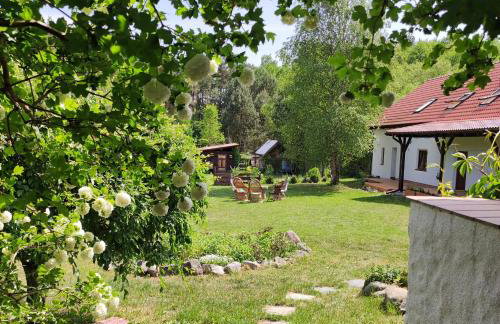 Ostoja Leśna Cisza - Foto 4