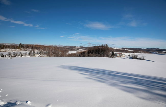 STARRY SKY COTTAGE 13 - Photo 34