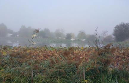 Wooden chalet, for 4 people air-conditioned - Photo 23