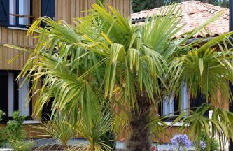 Domaine du Ferret Restaurant & Spa - Foto 54