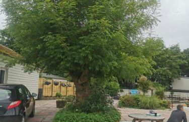 Tolroy manor holiday cottage - Foto 55