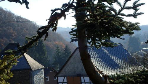 vakantiehuis Hunsrück - Foto 5