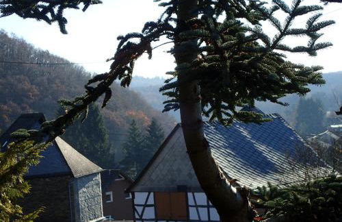 vakantiehuis Hunsrück - Foto 5