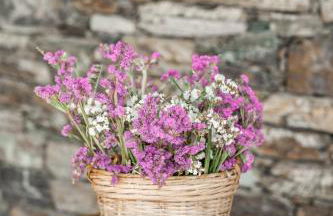 Casa das Marucas - Foto 39