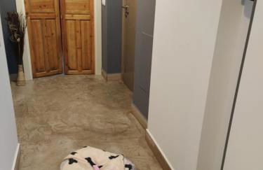 RCBCALEROS - Foto 22