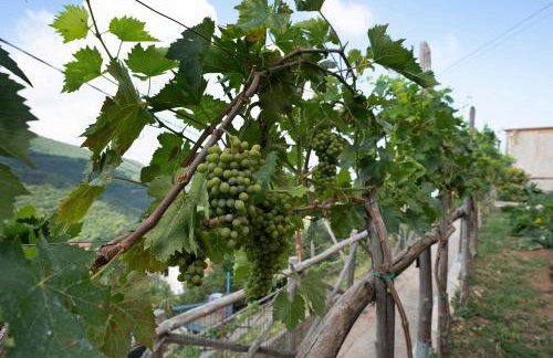 Prima Luce - Photo 25