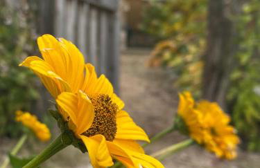 Wakacyjny Dom w Sakach - Foto 8