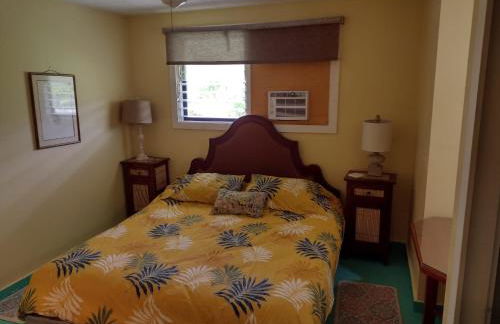 Pohaku Place - 3000 sqft of tropical charm spa - Foto 10