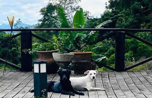 Chalé na montanha com vista e lareira Mantiqueira - Foto 17