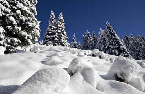 Residence Raffaella - Photo 28