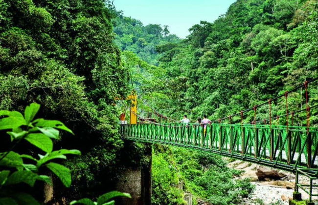 Excursion à Aguaytia - Photo 5