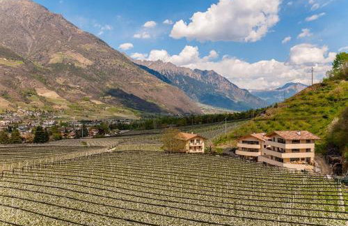 El Paradiso - Foto 32