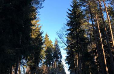 Casa „Ella“ - Photo 25