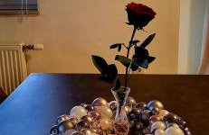 Apartman Mirella - Foto 12