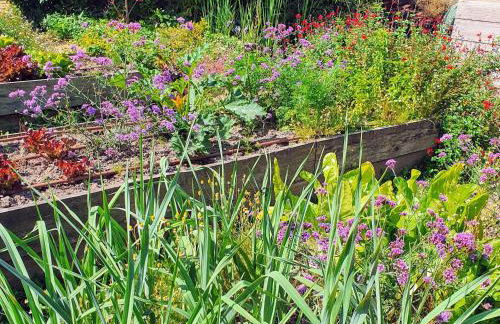 Auró Blanc- Allotjament Turístic - Photo 26