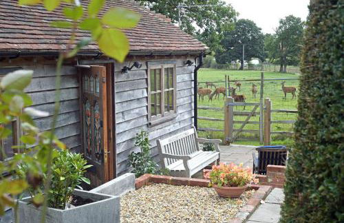 Deer Lodge with a View - Photo 15