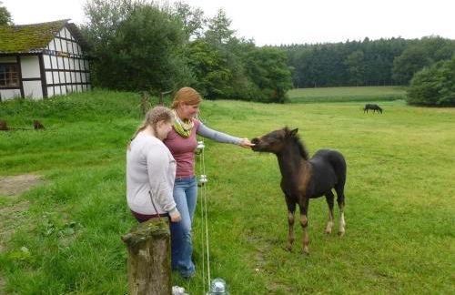 Ferienhof Frohne - Im Kaustall - Foto 8